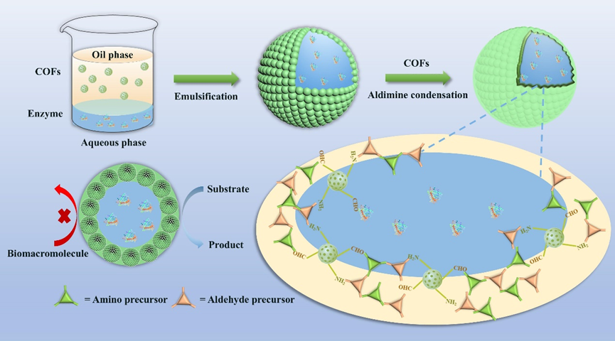 江西師范大學(xué)：<b class='flag-5'>一種</b>制備強(qiáng)韌酶@共價(jià)有機(jī)框架微膠囊的<b class='flag-5'>策略</b>：生物傳感新平臺(tái)