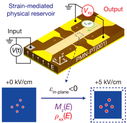 <b class='flag-5'>高壓</b><b class='flag-5'>放大器</b><b class='flag-5'>在</b><b class='flag-5'>鐵</b>磁鐵<b class='flag-5'>電</b>異質(zhì)結(jié)儲備池計算<b class='flag-5'>中</b>的前沿探索