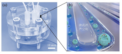 功率放大器在聲空化<b class='flag-5'>微</b><b class='flag-5'>流</b>控<b class='flag-5'>器件</b>中的應用