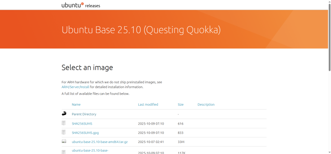 Ubuntu 25升级全解析！即将移植RK系列芯片，技术实践抢先预告