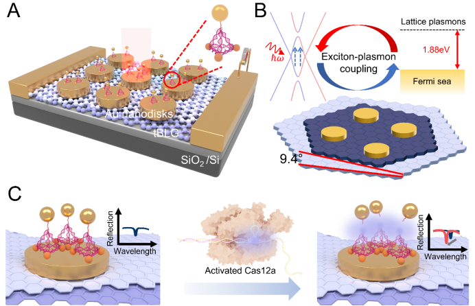 <b class='flag-5'>深圳大學</b>：研發(fā)新型<b class='flag-5'>傳感器</b>，實現阿摩爾<b class='flag-5'>級</b>生物分子精準檢測