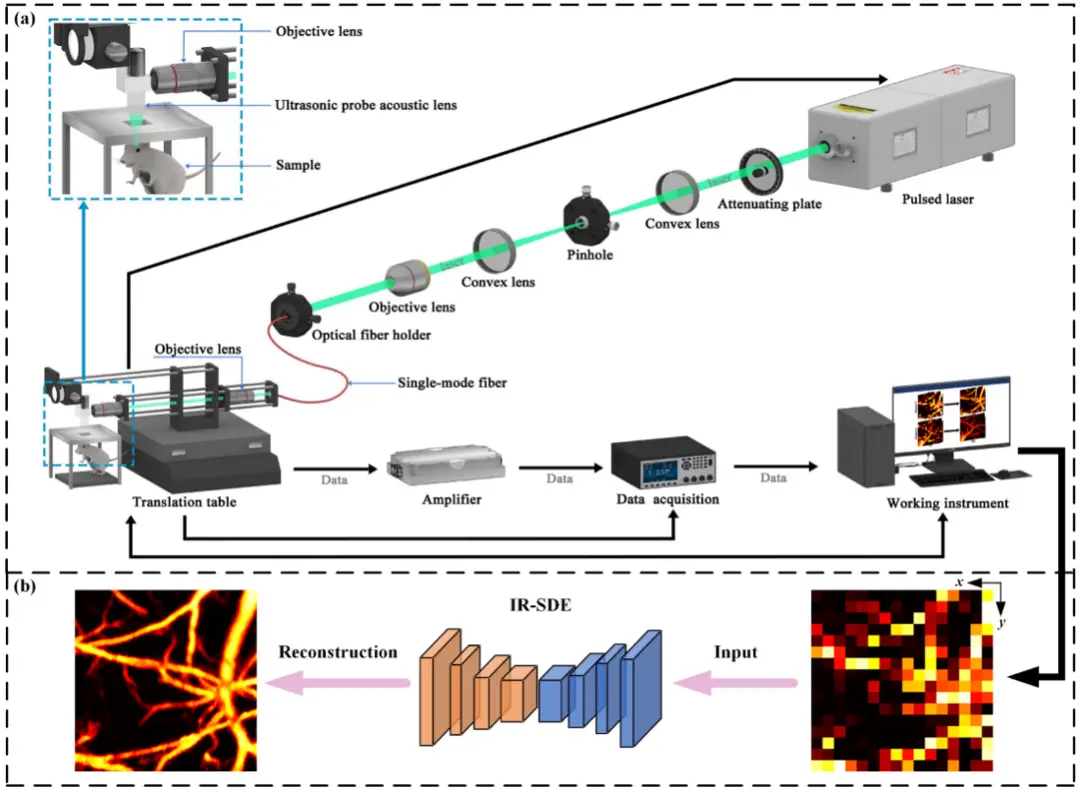 南昌大學在高分辨率<b class='flag-5'>光</b>聲顯微<b class='flag-5'>成像</b><b class='flag-5'>方面</b>獲得突破