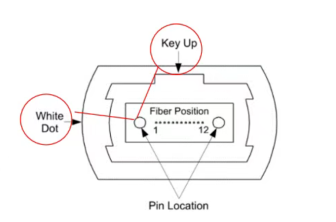 面向100G/400G時(shí)代：<b class='flag-5'>MPO</b>光纖<b class='flag-5'>跳線</b>怎么選？