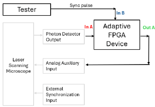 FPGA