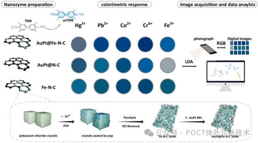 海南大學(xué)食品科學(xué)與工程學(xué)院:基于智能手機(jī)輔助納米酶比色傳感器陣列用于高通量識(shí)別鮭魚中的<b class='flag-5'>重金屬</b>離子