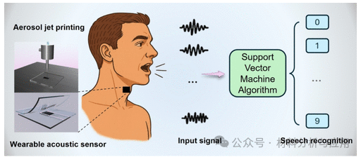 香港理工<b class='flag-5'>大學(xué)</b>、南方<b class='flag-5'>科技大學(xué)</b>：新型壓阻式<b class='flag-5'>石墨</b><b class='flag-5'>烯</b>/CNC聲學(xué)傳感器，用于語(yǔ)音識(shí)別