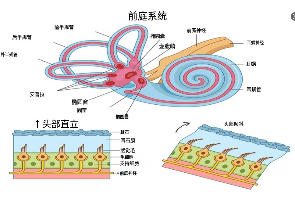 852c8246-ce6a-11f0-8ce9-92fbcf53809c.png