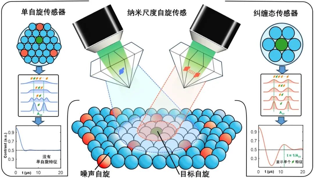 中國(guó)科學(xué)技術(shù)大學(xué)：實(shí)現(xiàn)糾纏增強(qiáng)納<b class='flag-5'>米尺度</b>單自旋量子傳感