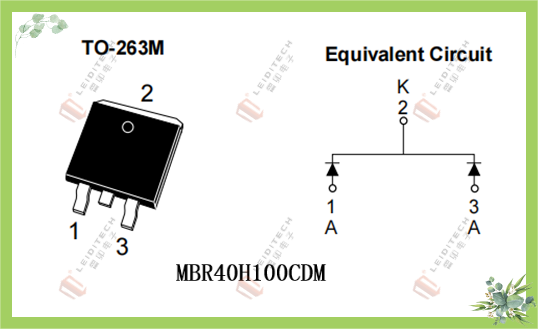b4b569ea-cfe8-11f0-8ce9-92fbcf53809c.png