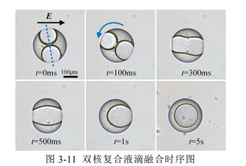 電壓放大器在雙核復(fù)合液滴融合實驗中的應(yīng)用