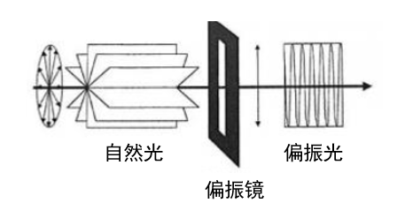 偏振