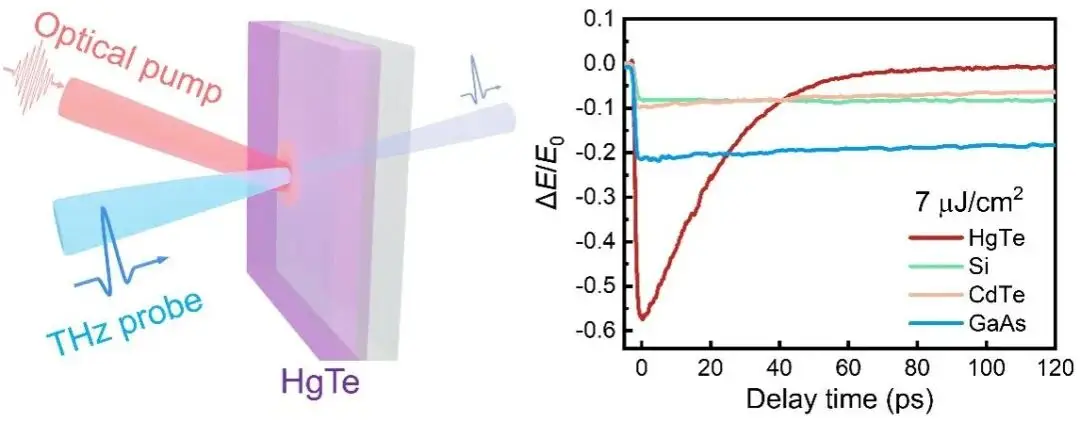上海大学在光控超快太赫兹波调制方面取得重要进展