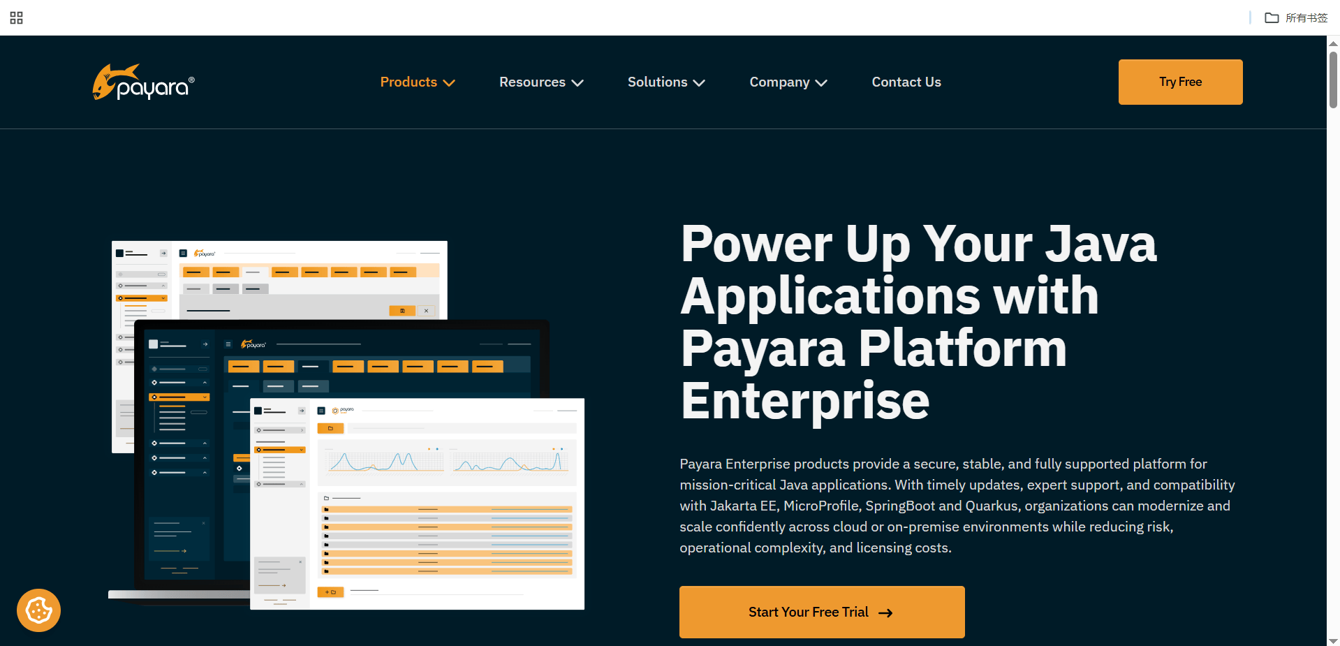 本地部署 Payara Server 公網(wǎng)訪問