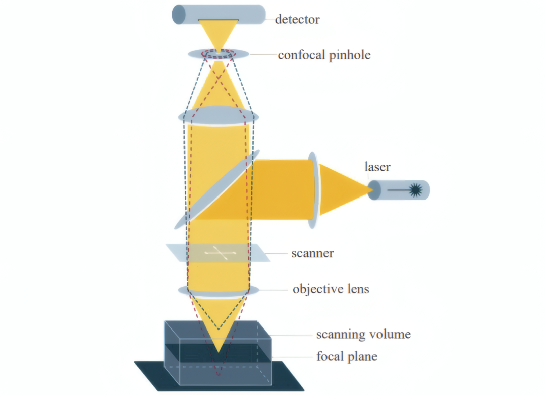 f30cb772-f066-11f0-8ce9-92fbcf53809c.png