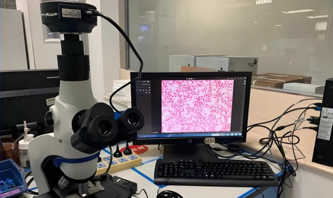 【启扬方案】基于RK3576的血液细胞分析仪的应用解决方案