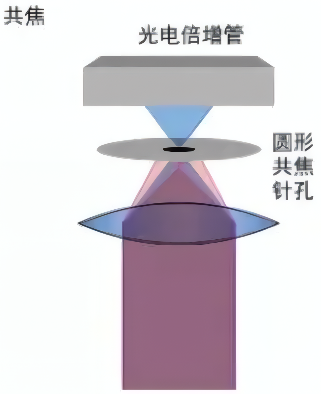 5dee748e-f1f9-11f0-8ce9-92fbcf53809c.png