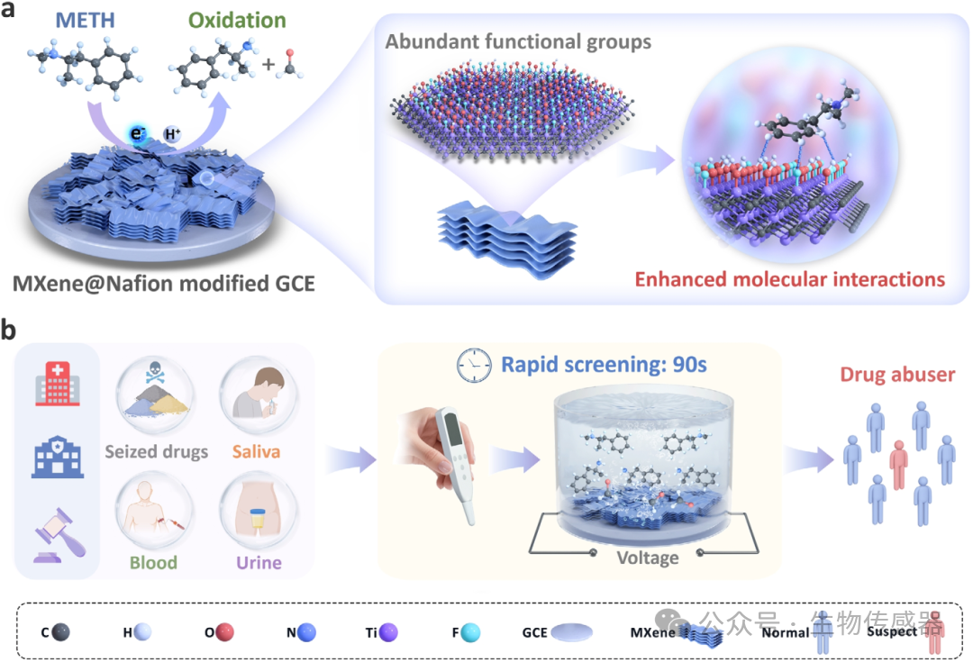 中國科學(xué)院深圳先進院：研制<b class='flag-5'>一種</b>MXene 電化學(xué)傳感器秒級精準檢測冰毒