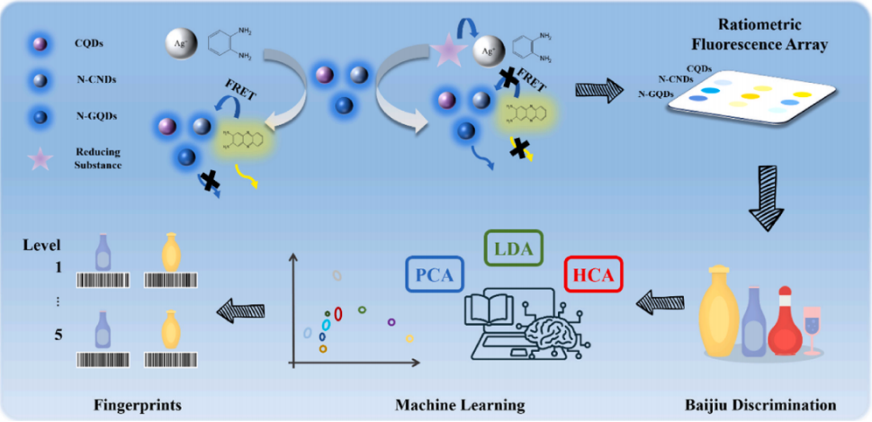 重庆大学:研究一种新型量子点比率型荧光传感器阵列:用于还原性物质检测及白酒品质鉴别