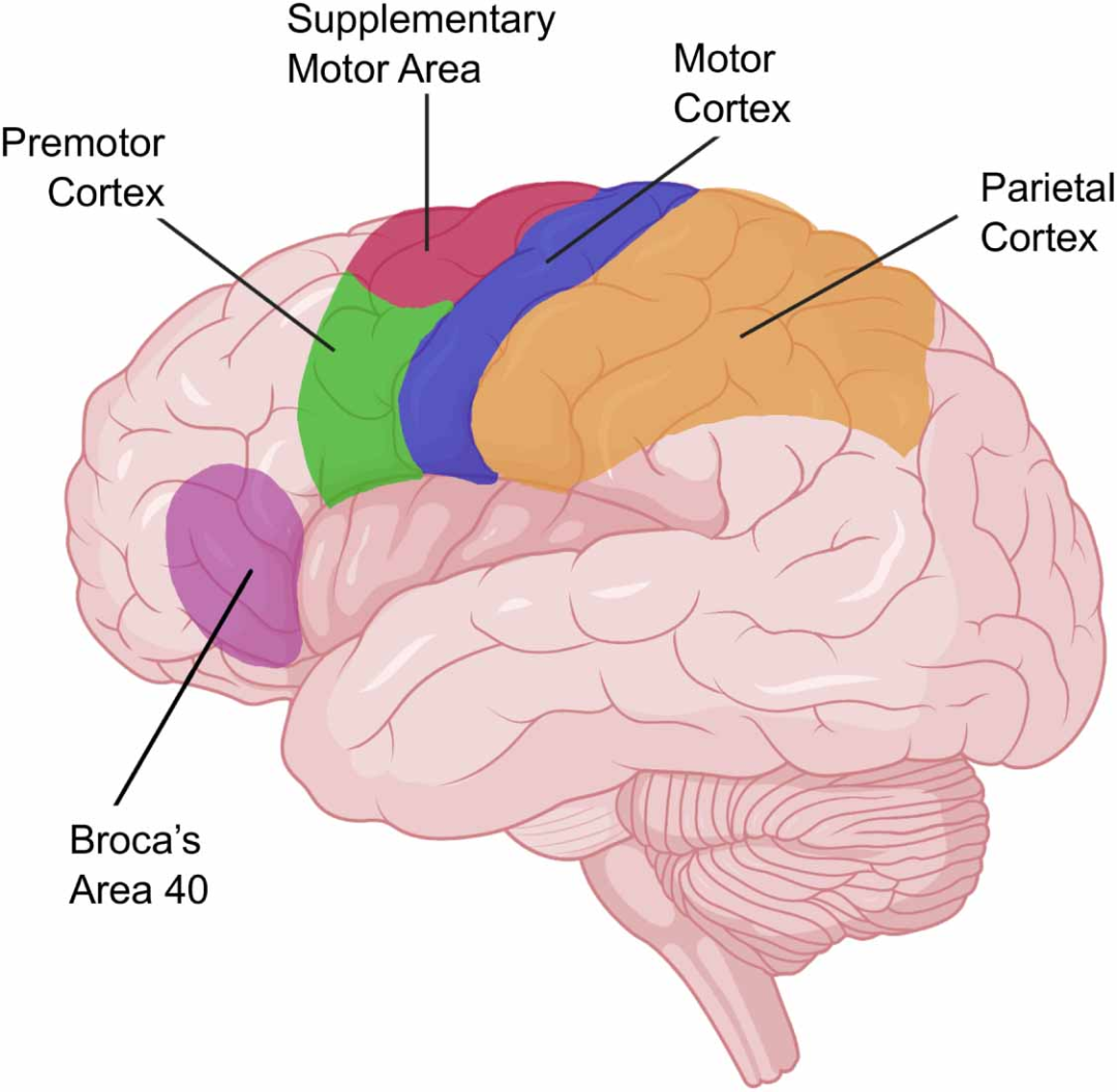 cc908394-00e7-11f1-96ea-92fbcf53809c.png