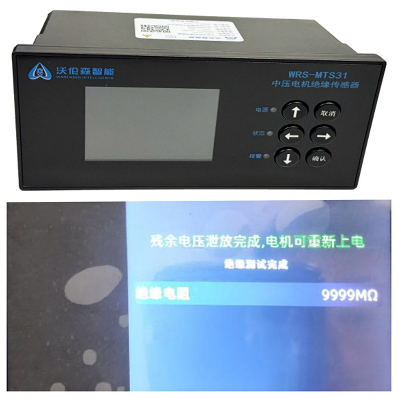 WRS - MTS31 高壓電機絕緣監(jiān)測儀