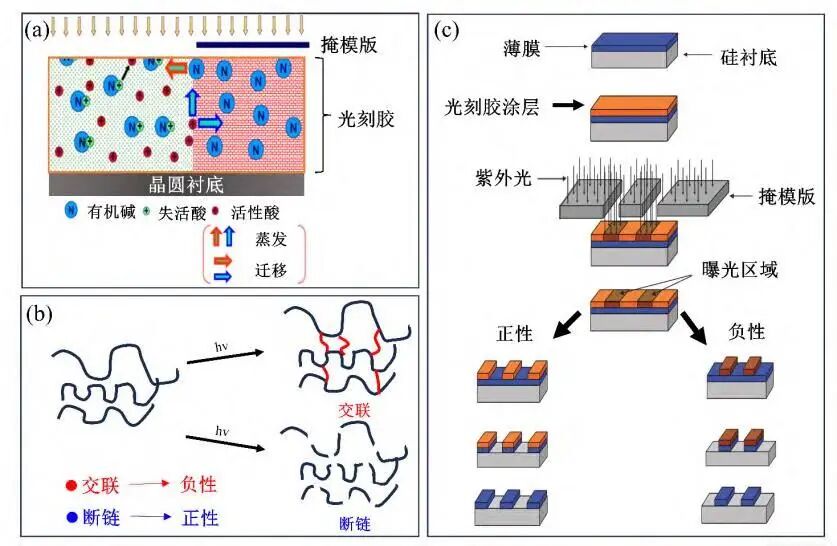 光刻胶涂层如何实现纳米级均匀性？椭偏仪的工艺控制与缺陷分析
