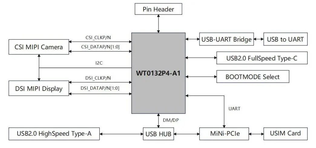 e2a12420-07fb-11f1-96ea-92fbcf53809c.jpg