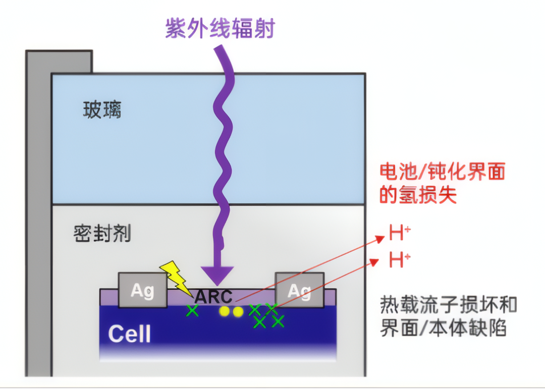 85c2a43c-1231-11f1-96ea-92fbcf53809c.png