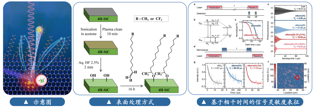 天津<b class='flag-5'>理工大學(xué)</b><b class='flag-5'>團(tuán)隊</b>： 給量子傳感器穿上“保護(hù)衣” ，攻克量子生物探測關(guān)鍵難題