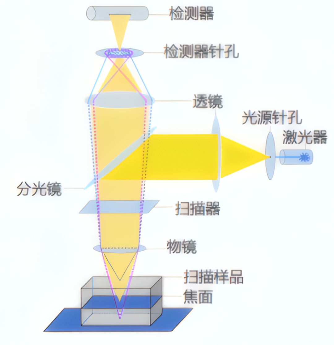 71421272-1c68-11f1-96ea-92fbcf53809c.png