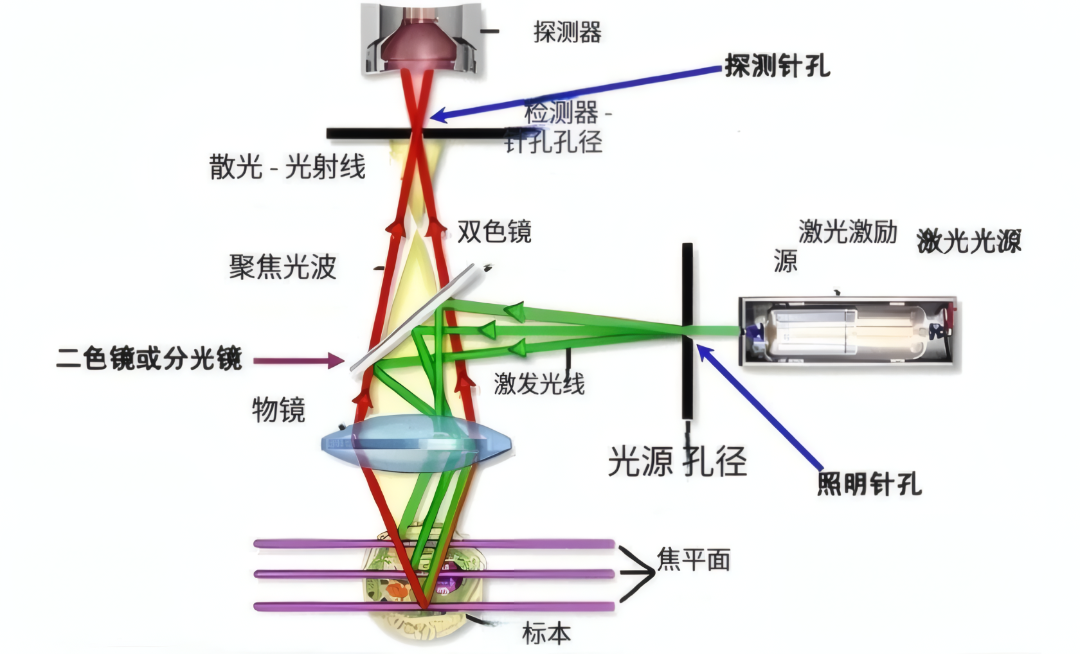 bd8f28b6-1dfa-11f1-96ea-92fbcf53809c.png