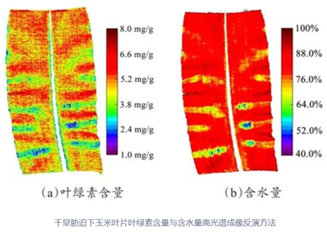 無人機載光譜相機：從“看得遠”到“看得透”的行業(yè)變革