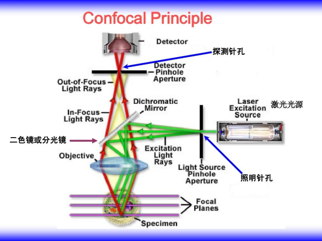 fe7a99bc-2ce8-11f1-96ea-92fbcf53809c.png