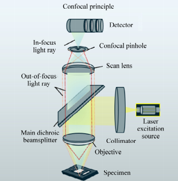 fe86cea8-2ce8-11f1-96ea-92fbcf53809c.png