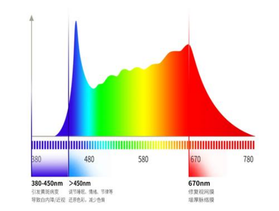 878e0c40-2f44-11f1-ab55-92fbcf53809c.png
