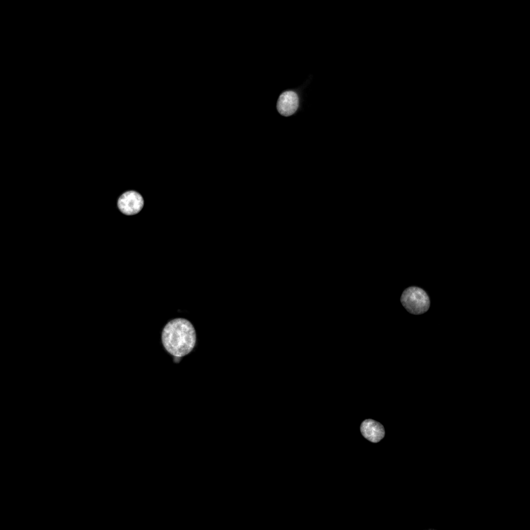 9c01fb20-3217-11f1-ab55-92fbcf53809c.png