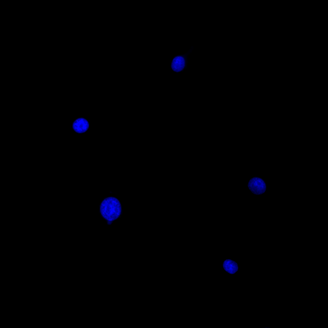 9c419f50-3217-11f1-ab55-92fbcf53809c.png