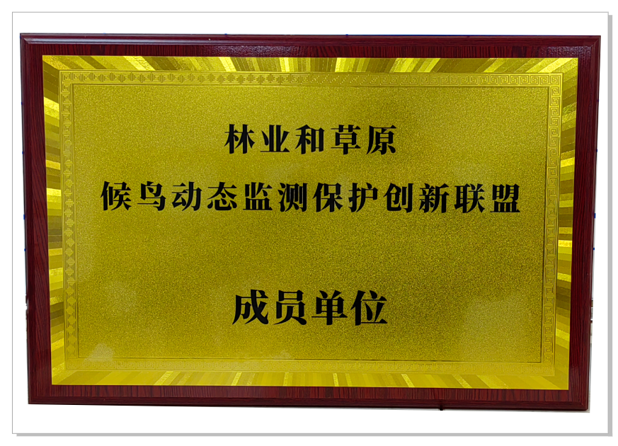 552bb6a6-32de-11f1-ab55-92fbcf53809c.png