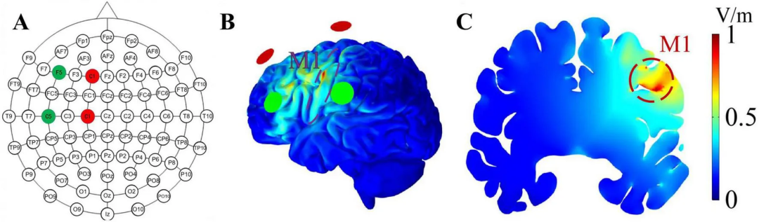 2b1d0ff6-3ca0-11f1-ab55-92fbcf53809c.png