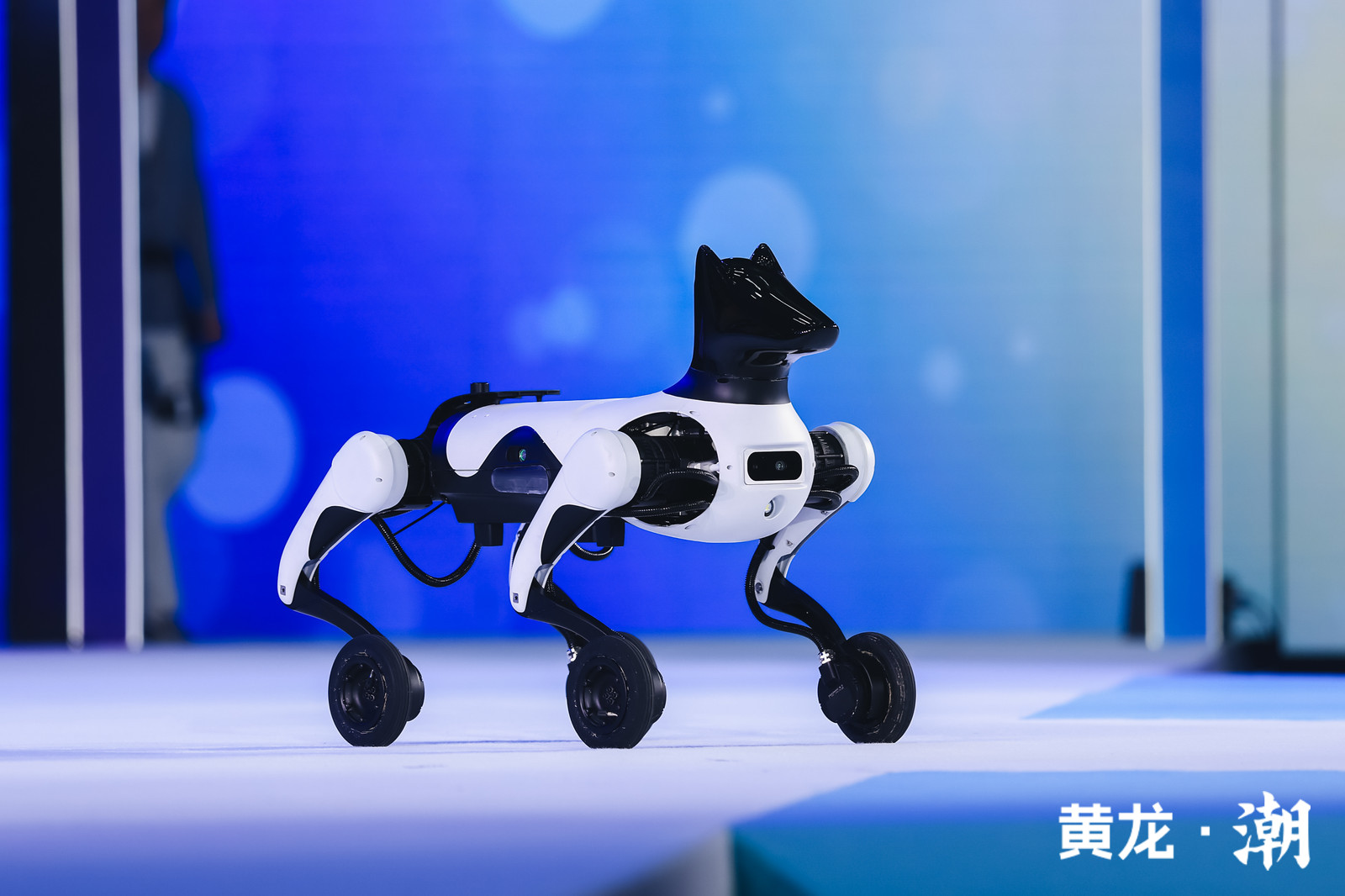 AI
