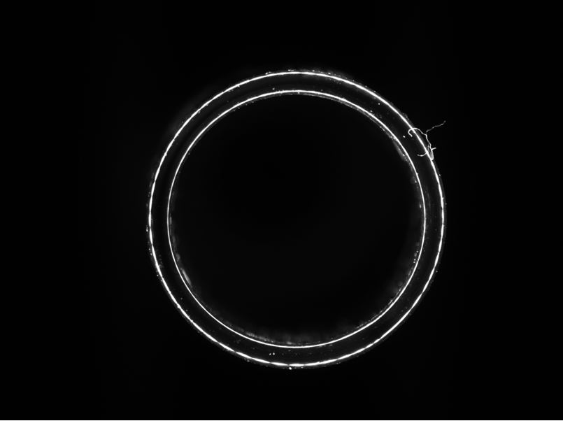 6f64b2bc-4291-11f1-ab55-92fbcf53809c.png
