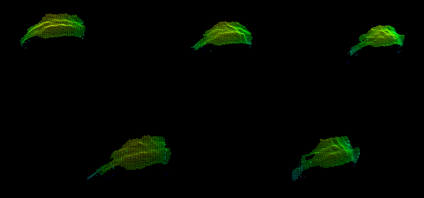 20ea2f4e-48e1-11f1-ab55-92fbcf53809c.png
