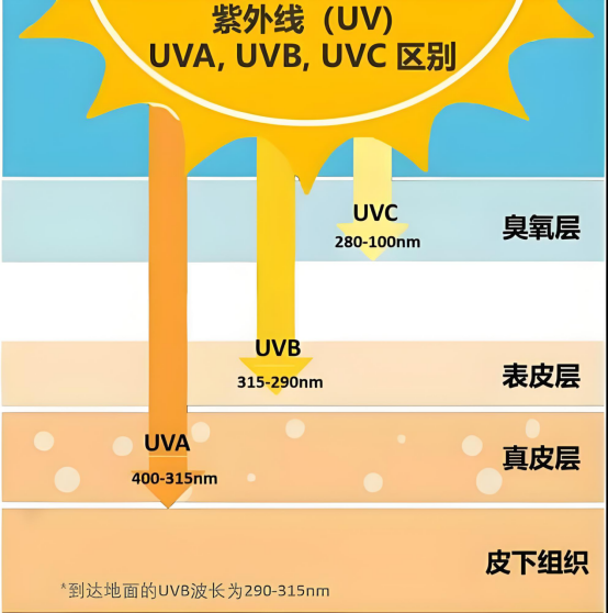 ce09e768-4932-11f1-ab55-92fbcf53809c.png
