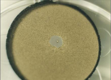 aa0b8df8-4ff9-11f1-ab55-92fbcf53809c.png