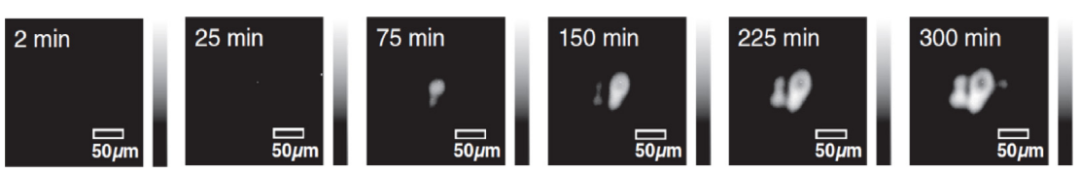 aa457130-4ff9-11f1-ab55-92fbcf53809c.png
