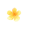 分析仪
