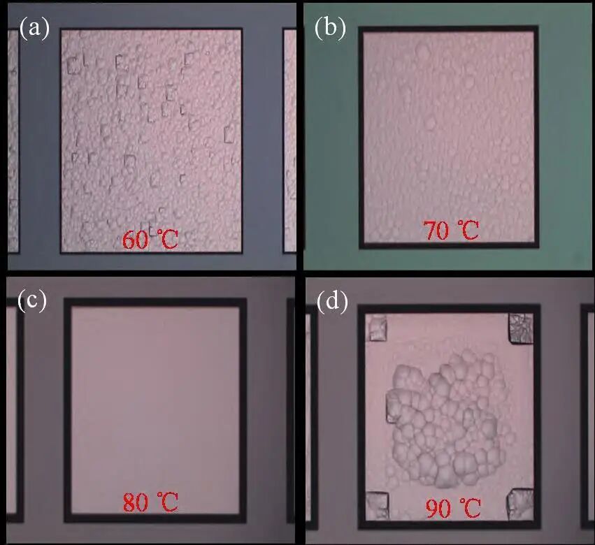 3bfbe384-5da1-11f1-ab55-92fbcf53809c.jpg