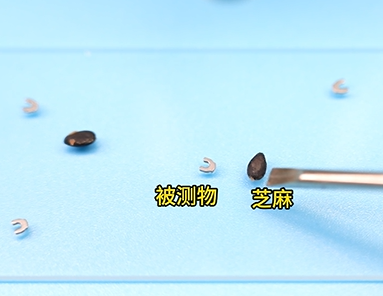 传感器