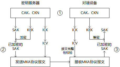 汽车