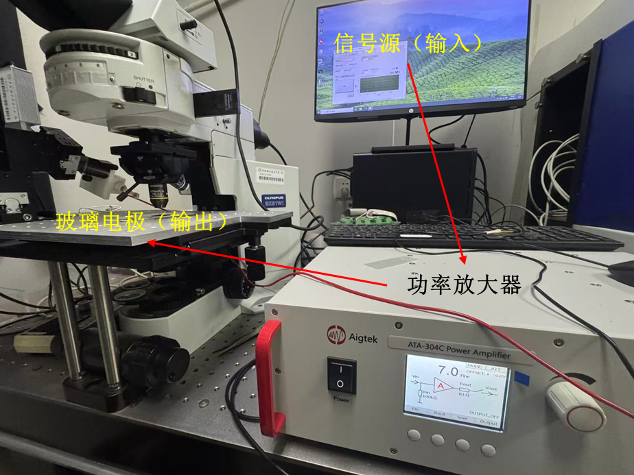 ATA-304C功率放大器在单细胞电穿孔实验中的应用