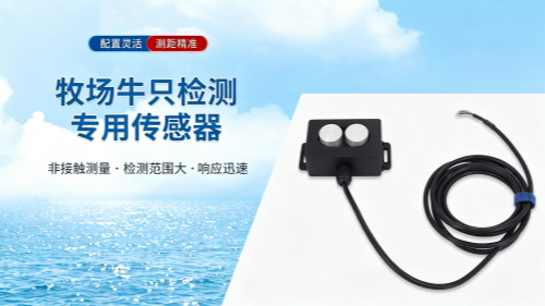大禹电子牛只检测传感器助力智慧牧场数字化管理